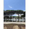 Ostia Antica – Filary