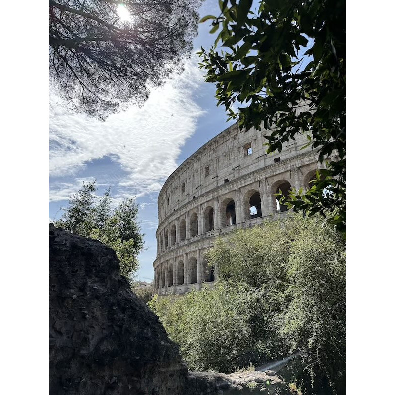 Colosseo al mattino Colosseo al mattino